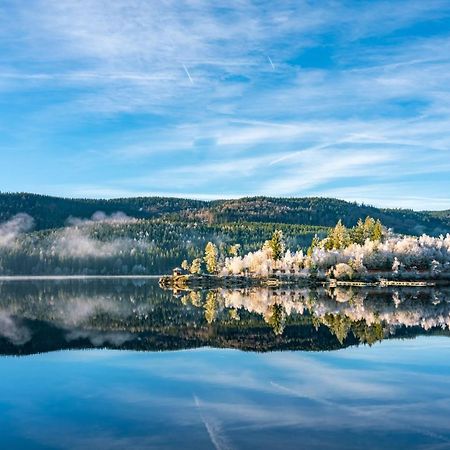 Ferienwohnung 1315 Schluchsee Zewnętrze zdjęcie