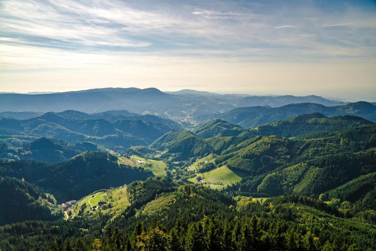 Ferienwohnung 1315 Schluchsee Zewnętrze zdjęcie